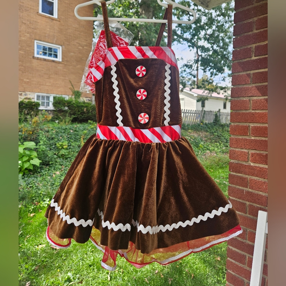 Wish Brown and Red Candy Dress Costume